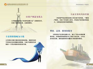 福建省梧桐樹投資管理圖冊(cè) 洞悉資產(chǎn)管理的專業(yè)藍(lán)圖